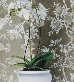 Marlowe Floral Wallpaper by Ralph Lauren Dove