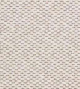 Rambla Fabric by Clarke & Clarke Noir