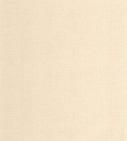 Raphia Wallpaper by Caselio Beige