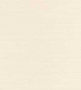 Raya Silk Embossed Wallpaper by Romo Egret