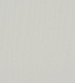 Reed Fabric by Prestigious Textiles Pampas