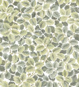 Regents Park Wallpaper by Casadeco Amande