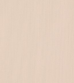 Remo Fabric by Clarke & Clarke Blush