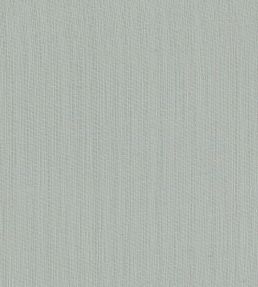Remo Fabric by Clarke & Clarke Mist