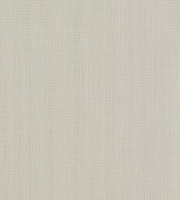Remo Fabric by Clarke & Clarke Pebble