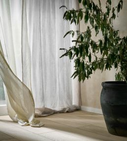 Remo Fabric by Clarke & Clarke Pebble