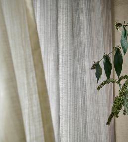 Remo Fabric by Clarke & Clarke Ivory
