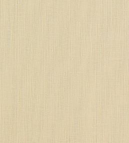 Remo Fabric by Clarke & Clarke Raffia