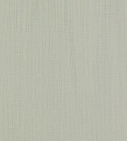 Remo Fabric by Clarke & Clarke Smoke