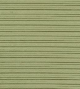 Repino Fabric by Designers Guild Moss