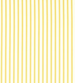 Ribbon Stripe Fabric by Harlequin Citrine