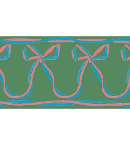 Ribbons Wrap You Up Border Wallpaper by CommonRoom Green
