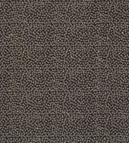 Ricamo Fabric by Clarke & Clarke Nero