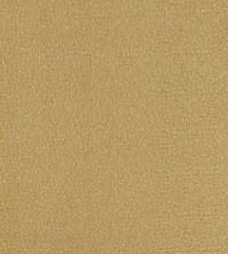 Ricamo Fabric by Clarke & Clarke Ochre