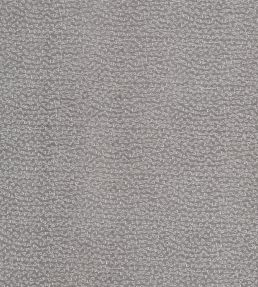 Ricamo Fabric by Clarke & Clarke Pewter
