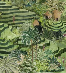 Rice Terrace Max Wallpaper by Brand McKenzie Grass Green
