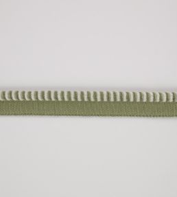 Riko Cord Trimming by Romo Matcha