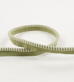 Riko Cord Trimming by Romo Matcha