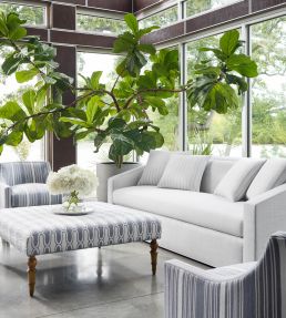 Rimini Fabric by Thibaut Horizon
