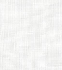 Rimini Fabric by Thibaut Platinum