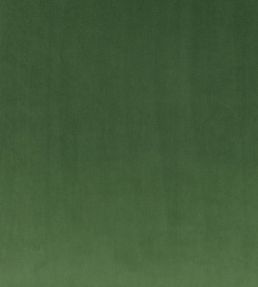 Rio Fabric by Villa Nova Evergreen