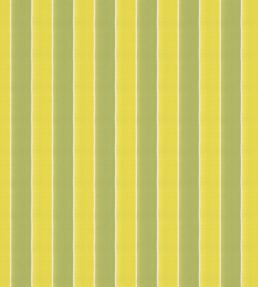 Robberg Fabric by Warwick Zest