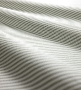 Robinia Fabric by Clarke & Clarke Eau De Nil