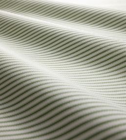 Robinia Fabric by Clarke & Clarke Herb