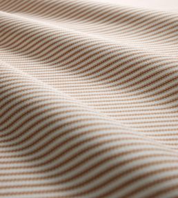 Robinia Fabric by Clarke & Clarke Spice