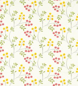 Rochelle Fabric by Clarke & Clarke Summer