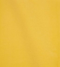 Rocky Performance Velvet Fabric by Schumacher Buttercup