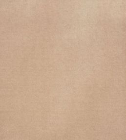 Rocky Performance Velvet Fabric by Schumacher Light Taupe