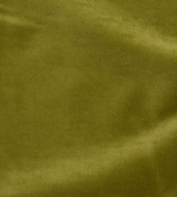 Rocky Performance Velvet Fabric by Schumacher Olivine