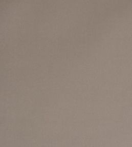 Rocky Performance Velvet Fabric by Schumacher Oyster