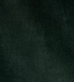 Rocky Performance Velvet Fabric by Schumacher Pine