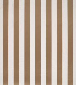 Rococo Stripe Fabric by James Hare Sultan Gold