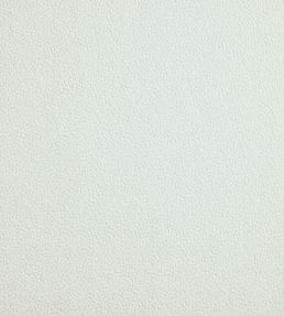 Rodin Fabric by Prestigious Textiles Chalk