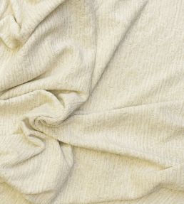 Roma Fabric by Andrew Martin Ivory
