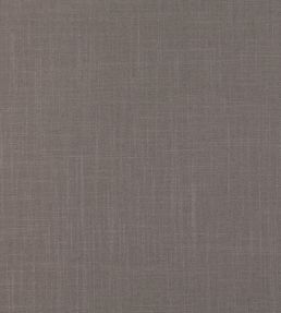 Asuri Fabric by Romo Rhodium