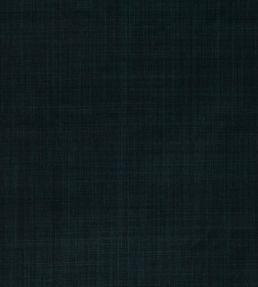 Dune Fabric by Romo Ebony