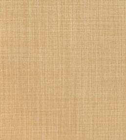 Dune Fabric by Romo Toffee
