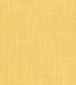 Dune Fabric by Romo Turmeric