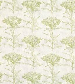 Oriana Fabric by Romo Cypress