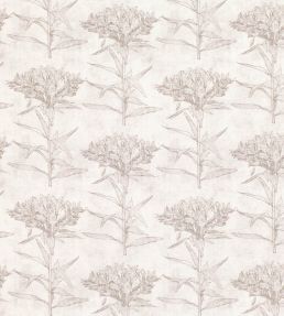 Oriana Fabric by Romo Chamois