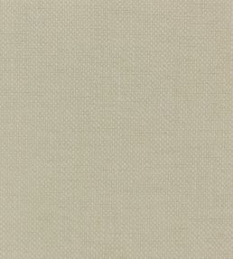 Linara Fabric by Romo Tapioca
