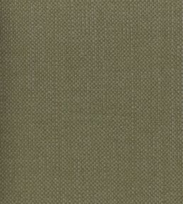 Linara Fabric by Romo Caribou