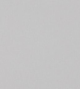 Linara Fabric by Romo Brume