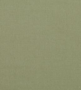Linara Fabric by Romo Chicory