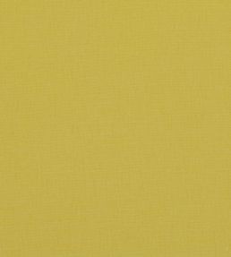 Linara Fabric by Romo Soleil