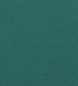 Linara Fabric by Romo Indian Green
